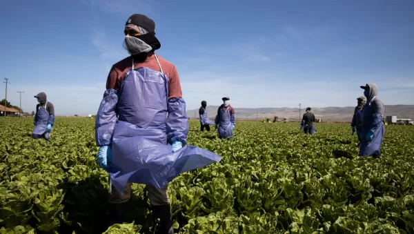 Coronavirus, the predictable impact on the relationship between society and agriculture