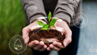 Future of Global Agriculture