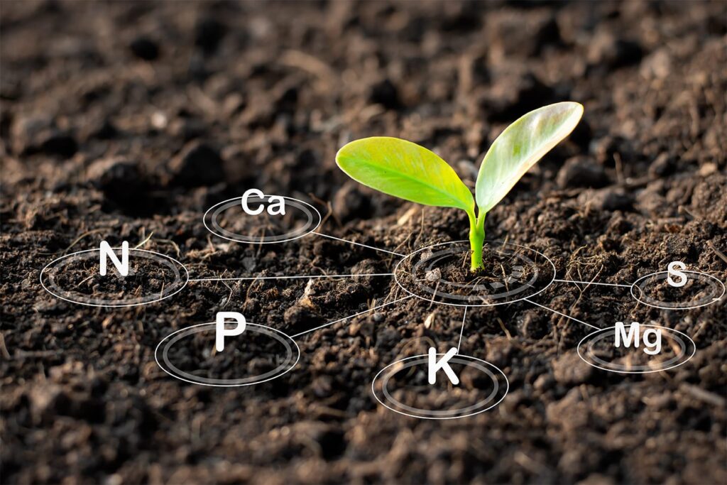 soil
