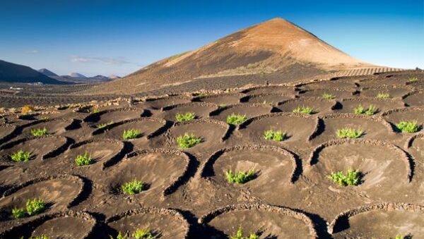 soil sustainble