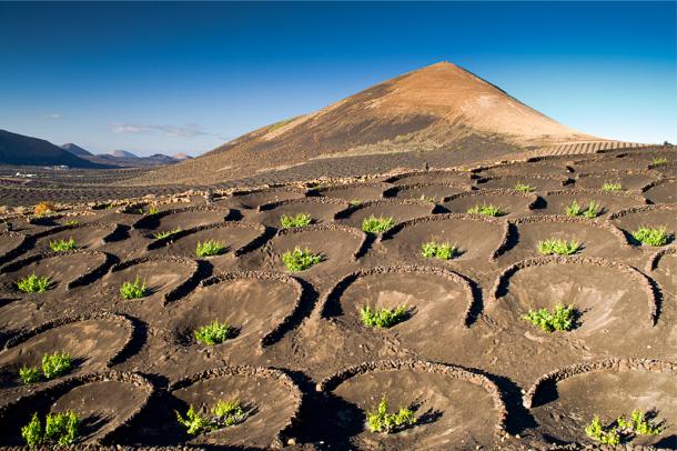 soil sustainble