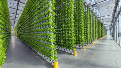 eden-green-vertical-farm-facility