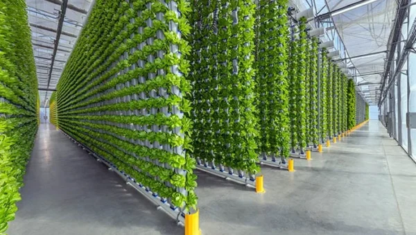 eden-green-vertical-farm-facility