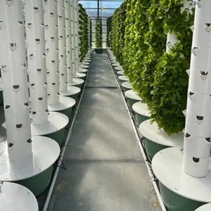 Vertical Farm
