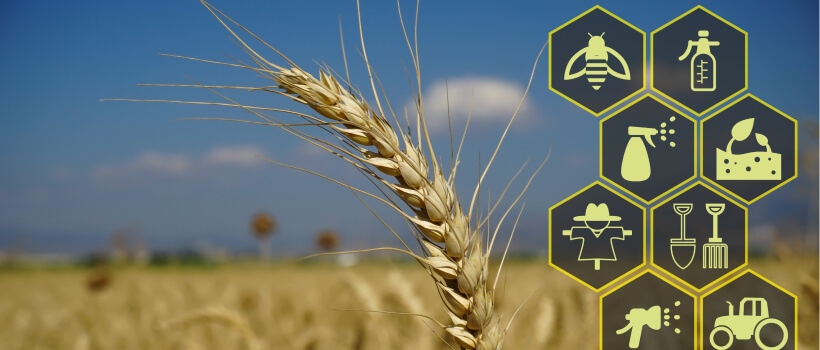 Blockchain in Agriculture