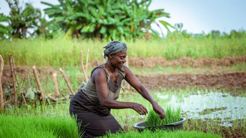 Resilience of Agricultural