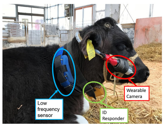 Wearable Technologies