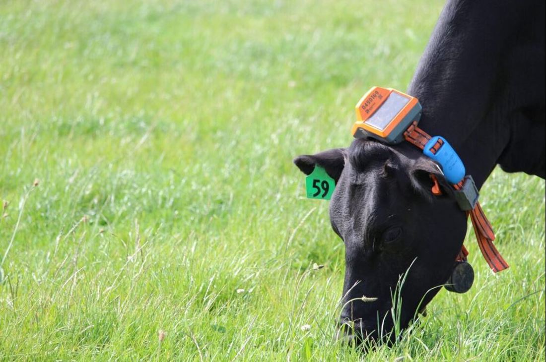 -a-closer-look-at-wearables