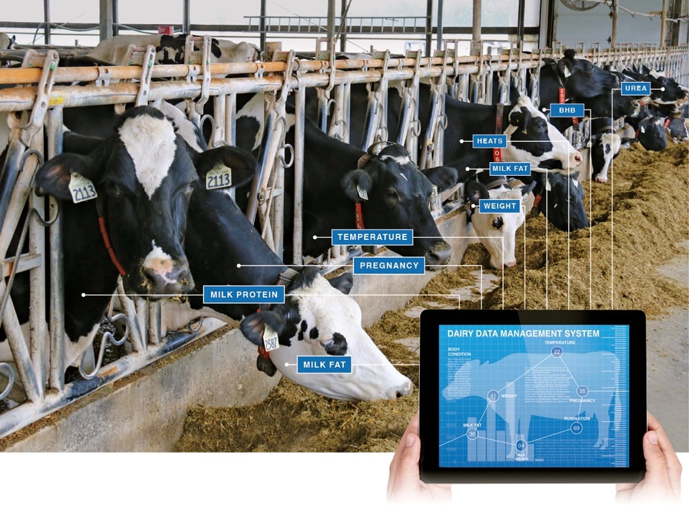 dairy-data-farmtario